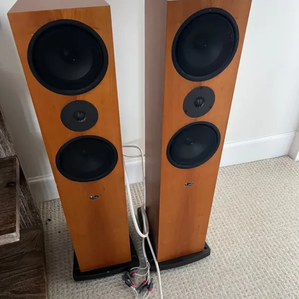 Linn ninka floor standing apeakers