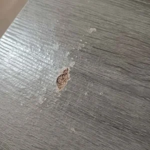 Mama and papas Franklin changing table - Image 3