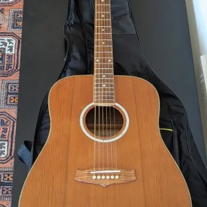 Tanglewood acoustic guitar + case
