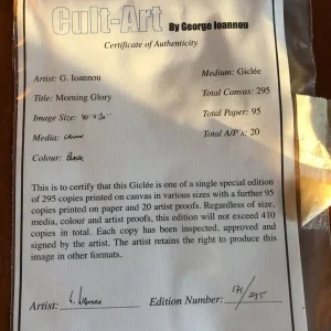 OASIS MORNING GLORY Giclee poster by George Ioannou - Image 4