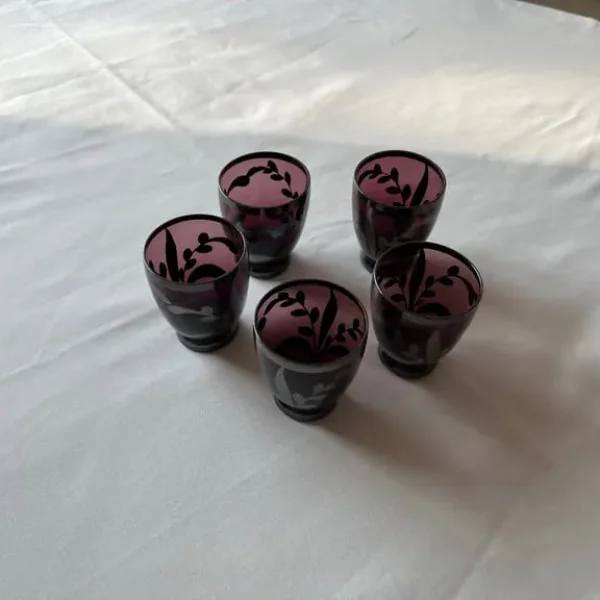 5 Shot Glasses