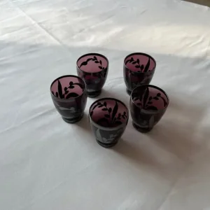 5 Shot Glasses