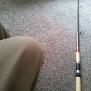 Fishing rod - Image 2