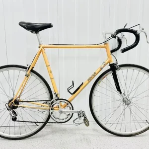 Bc RALEIGH GRAN SPORT Size/54 cm 10 Speed Campagnolo patent Groupset