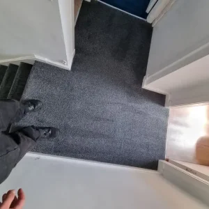 Carpet cleaner - Image 6