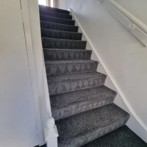 Carpet cleaner - Image 8