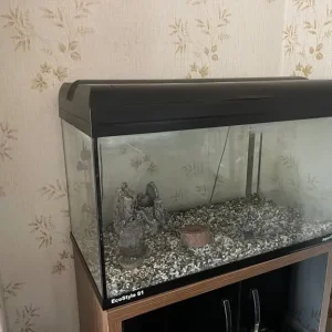 Aqua One Ecostyle 81 - Image 3