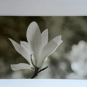 Large Canvas Wall Art 118x78cm £20