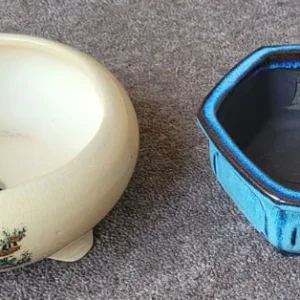 BONSAI DISHES - Image 2