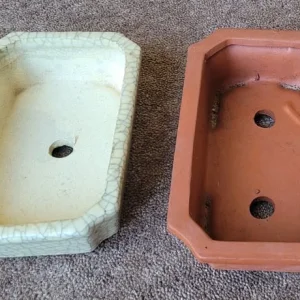 BONSAI DISHES - Image 3