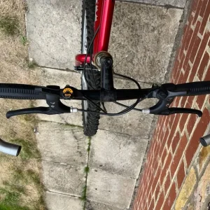 Bike for ADULTs - Image 2