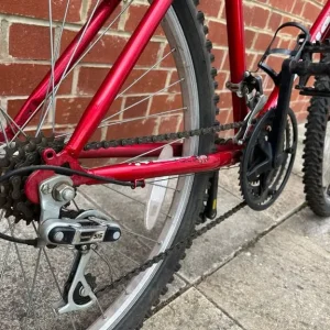 Bike for ADULTs - Image 3