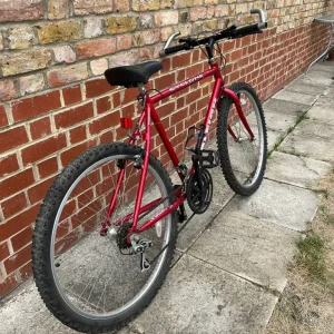 Bike for ADULTs - Image 4