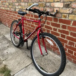 Bike for ADULTs - Image 5