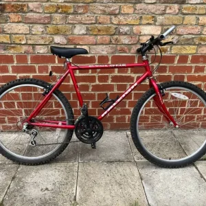 Bike for ADULTs - Image 6