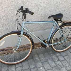 Adult Diamondbacks Parkway Bicycle