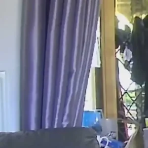 Curtains, cushions and lamp - Image 3