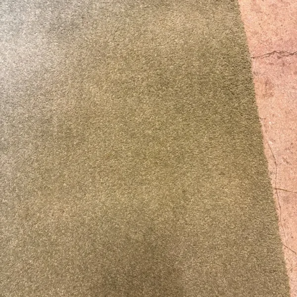 CARPET - by Laura Ashley - Olive colour - only £65 or close