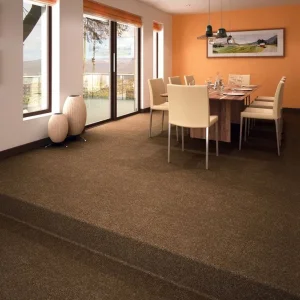 Brand new carpet flooring