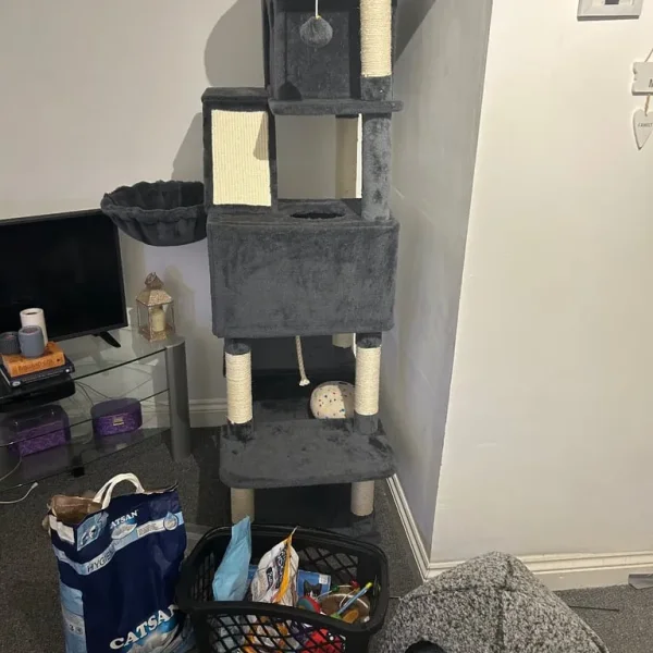 Cat scratch tower and bed