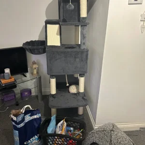 Cat scratch tower and bed