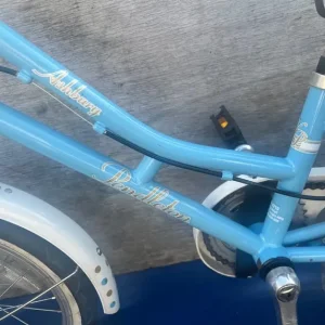 Pendleton Ashbury kid bicycle bike blue 16 inch wheels - Image 2