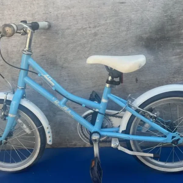 Pendleton Ashbury kid bicycle bike blue 16 inch wheels