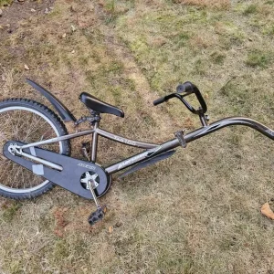 Raleigh Avenir Tag 100 Tag-a-long Bike Trailer