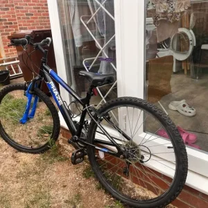 Black And Blue Bicycle