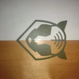 Longboard skate board