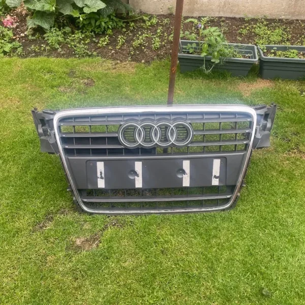 Audi a4 grill