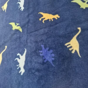 2x dinasour blankets - Image 6