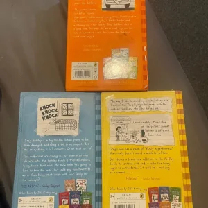 Diary of a Wimpy Kid Books - Image 2