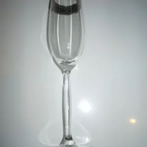 NEW Cristalleria Silver Decorated Champagne glasses