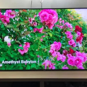 SAMSUNG 50 inch Smart supper slim 4K UHD HDR QLED TV with Bixby & Alexa, 2024 model - Image 3