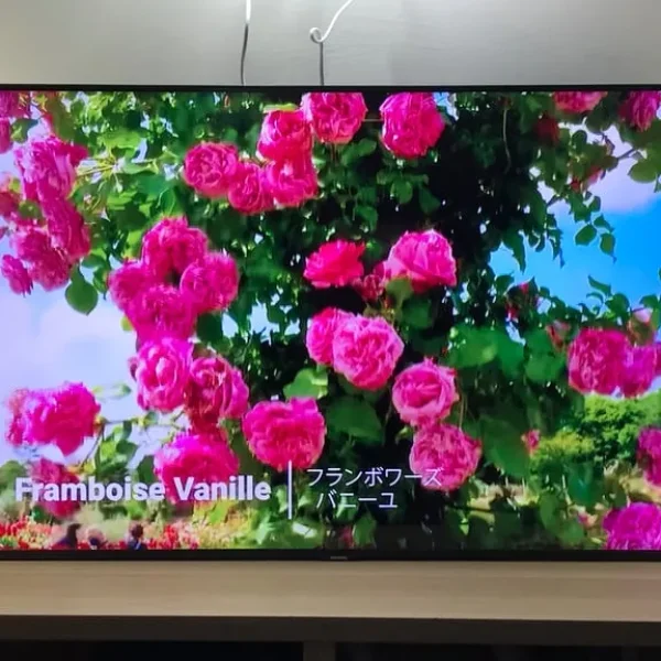 SAMSUNG 50 inch Smart supper slim 4K UHD HDR QLED TV with Bixby & Alexa, 2024 model