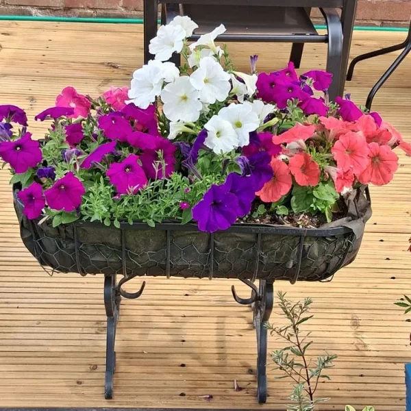Pair of wrought iron plant containers £30 the pair