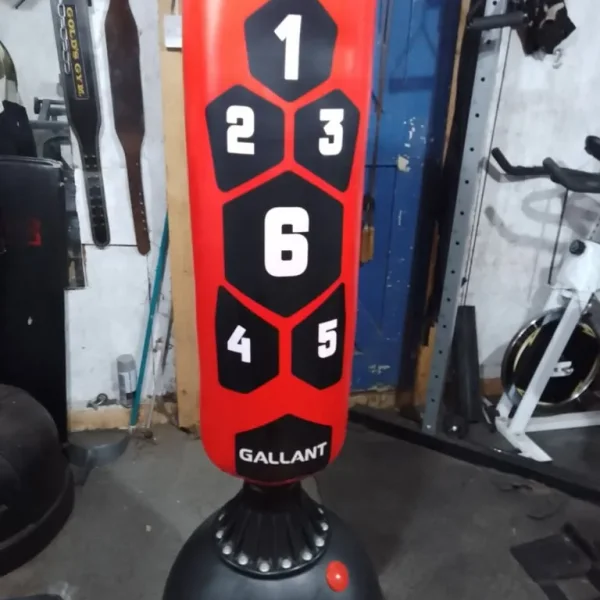 Free standing punch bag