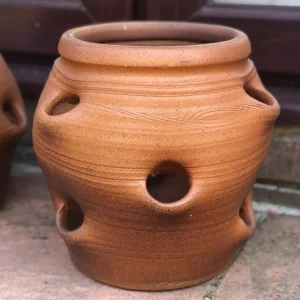 PAIR ERRINGTON REAY salt glazed strawberry/herb pots. See description - Image 3