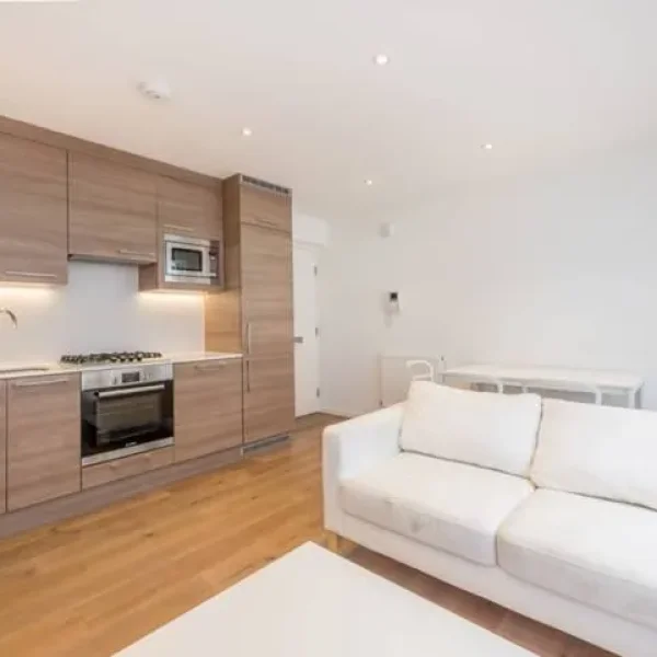 2 bedroom spacious apartment ( tenancy replacement)