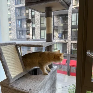 XXL Cat Tower – Light Grey (206cm) – Excellent Condition + Free Cat Litter - Image 2