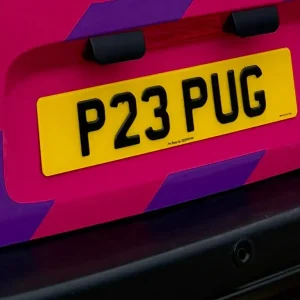 P23 PUG private registration number for dog lovers or Peugeot owners!