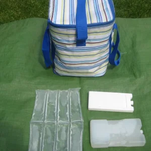 Lightweight Colourful Cooler Bag with 3 Cooler Packs : All 4 Items for £6.00