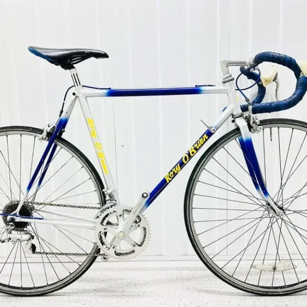 RORY O BRAIN Size/54 cm 12 Speed Index Gears Fully Serviced Warranty