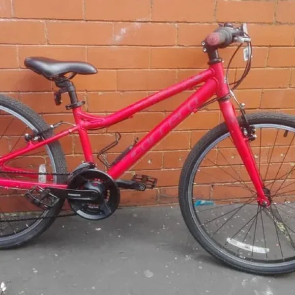 Carrera Saruna Junior Hybrid (Limited Edition) , City Bike - aluminium frame .