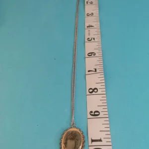 Vintage Pekingese Dog Necklace with Enamel Pendant on Sterling Chain, Hand Coloured - Image 8