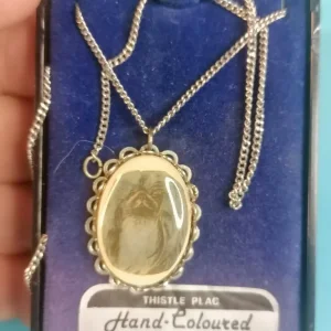 Vintage Pekingese Dog Necklace with Enamel Pendant on Sterling Chain, Hand Coloured