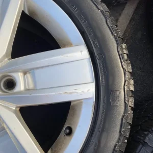 Swampy t6 alloys - Image 4