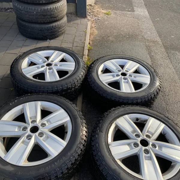 Swampy t6 alloys