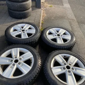 Swampy t6 alloys
